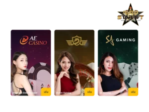 เสือมังกร คาสิโน 3